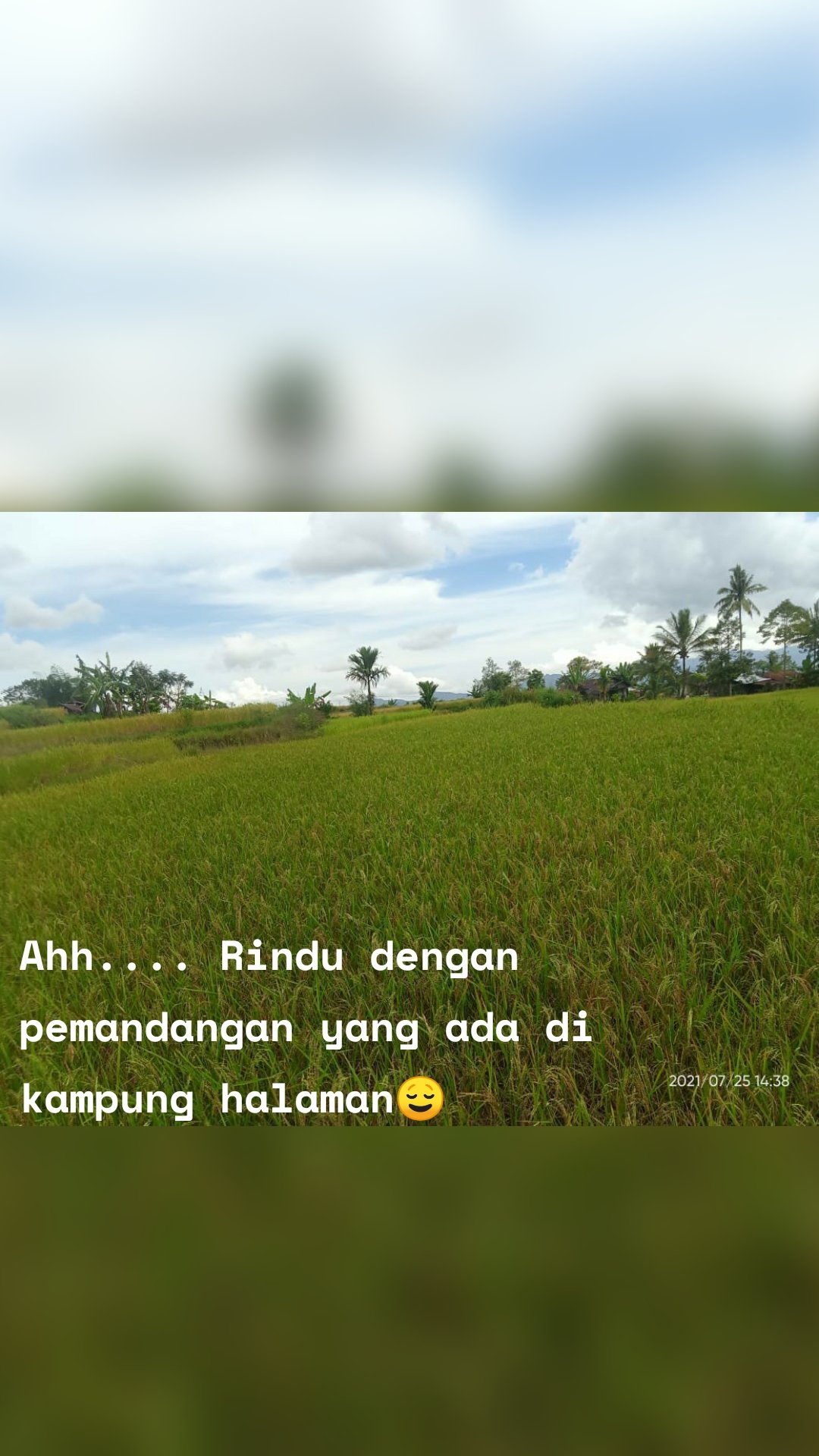 Ahh.... Rindu dengan pemandangan yang ada di  kampung halaman😌